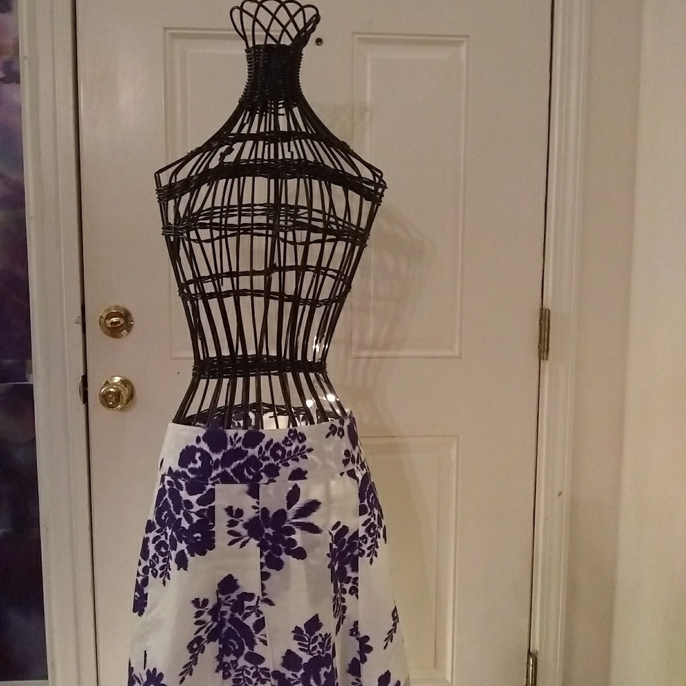 Ann Taylor skirt